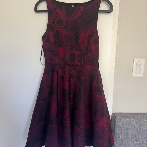 R&W co. Rose print dress - Picture 1 of 7